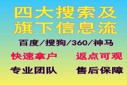 顶级SEM运营公司案例分析